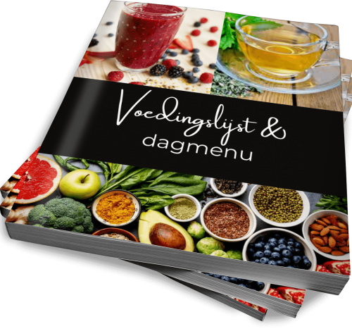 Mock up dagmenu en voedingslijst klein